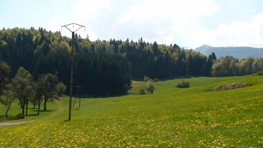 Le Chalet D'Ulysse Arâches Esterno foto