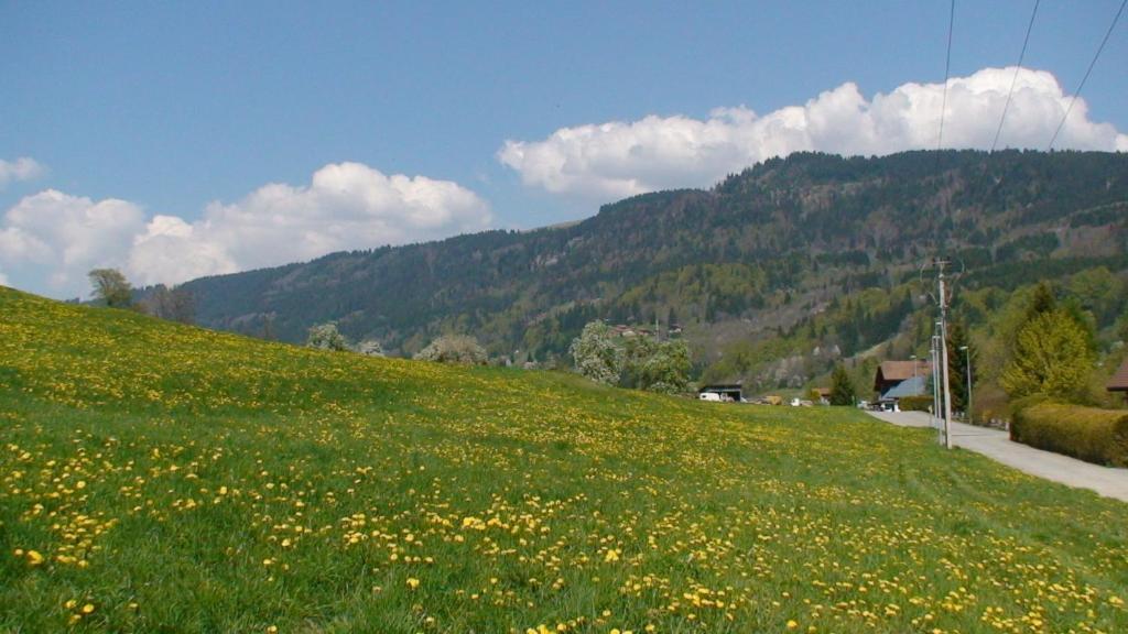 Le Chalet D'Ulysse Arâches Esterno foto